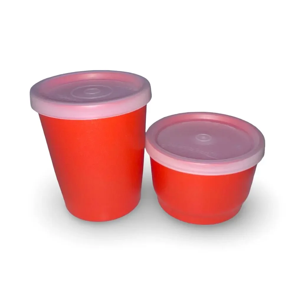 Tupperware Pack N Carry Orange Lunch Bento Box 1254 311 1251 1229 Vintage USA